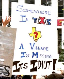 villageidiot