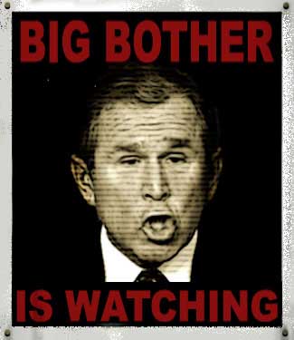 bush bigbrother