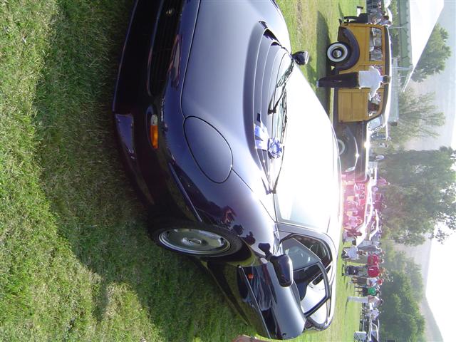 my picture