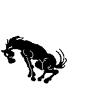 horse
