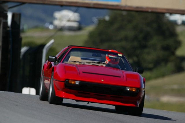 PeterMoran_308_1