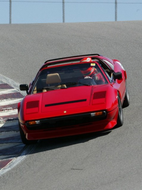 PeterMoran_308_2