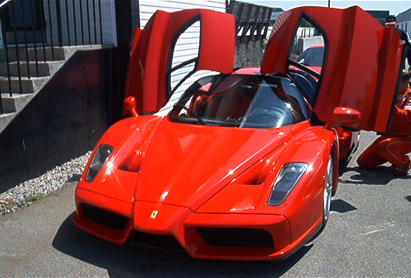 enzo3