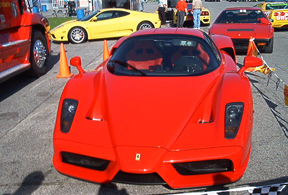 enzo