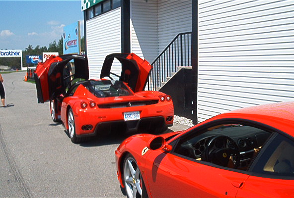 enzo