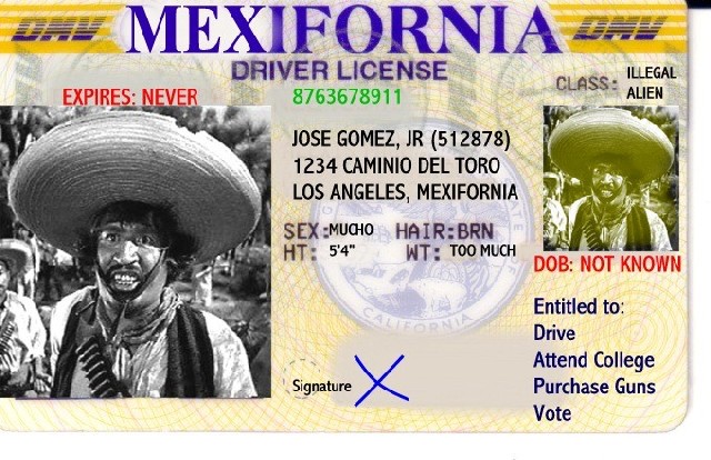 license