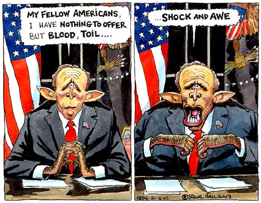 bush shock and awe