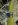 Final_Snaps.jpg