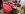 WP_20170909_12_43_18_Pro.jpg