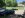 Dino in Driveway.JPG
