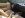 A293D5B7-3274-49FE-8F22-459DAEA8B012.jpeg