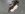 20180529_155241.jpg