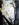Latch.PNG