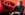 579BCFA8-B189-4922-B58A-9EFC9AE67CBA.jpeg