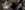 20190305_114727.jpg