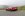 20190418-untitled shoot015-Edit.jpg