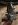 upload_2019-4-22_9-8-40.jpeg