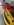 13231EB4-9CC3-4346-9799-55E26C96E84C.jpeg