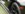 DSC00170_a.JPG