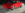 5696AC3E-5E17-4284-AC00-A67C895E7B8A.jpeg