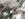 1761abd7-b866-49ed-9f72-4f0e44d7bc6e.jpeg