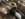 B9427FCE-606A-4C87-A59E-4B03992C7CA6.jpeg