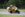 F6FF9D6D-F04D-4462-BDE6-07356E865C4E.jpeg
