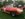 EAEA7118-744A-44A6-871A-3362423959D1.jpeg