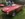 482FF7B8-50D7-4EC5-820B-50A2C8D5E31C.jpeg