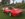 28795FCA-1FCD-4E24-9A54-0C22246A3737.jpeg