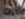 9246A165-FC5B-4487-ABFA-8A25673583B7.png