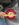 6B009D09-B474-4563-9E0F-80FE61ACB184.jpeg