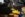 11-23-13-jack-points-4-sm_1806634.jpg