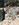 95A606DC-1F2A-41B1-9409-60ED86DB137E.jpeg