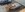 CAA3CBD3-090B-469B-91B9-EE5C37BC1352.jpeg