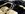DSC01319.jpg