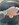 IMG_1751.jpeg
