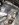 B139F099-5F64-45EE-AC6E-CF96B0212D3F.jpeg