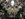 D7E6A2E0-14C6-4063-AEEE-CAE49F55F464.jpeg