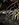 A4BFF47A-2DF8-4827-82EE-340C561B7FB1.jpeg