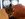 IMG_7702.jpeg