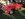 IMG_3411.jpeg