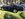 IMG_3423.jpeg