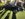 IMG_3462.jpeg
