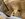IMG_5948.jpeg