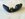 IMG_5787.jpeg