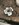 thumbnail_IMG_8400.jpg