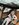 ED95B6A5-78EB-42CF-ADBE-1FCB2C712544.jpeg