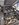 125232614_360456481912649_2937516423923783250_n.jpg