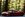 F9F442B2-F6B6-442D-883C-8C7C99B170A4_1_201_a.jpeg